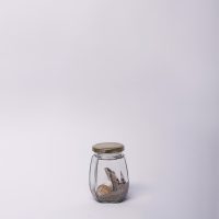 Heidi Pass, Daniel Turner, Zoe Turner (19/02/2017) - “Beach in a Jar” Freedom and nature… Shells and swimming… Childhood beaches, sand collections and aqua tables… loves bonus families…